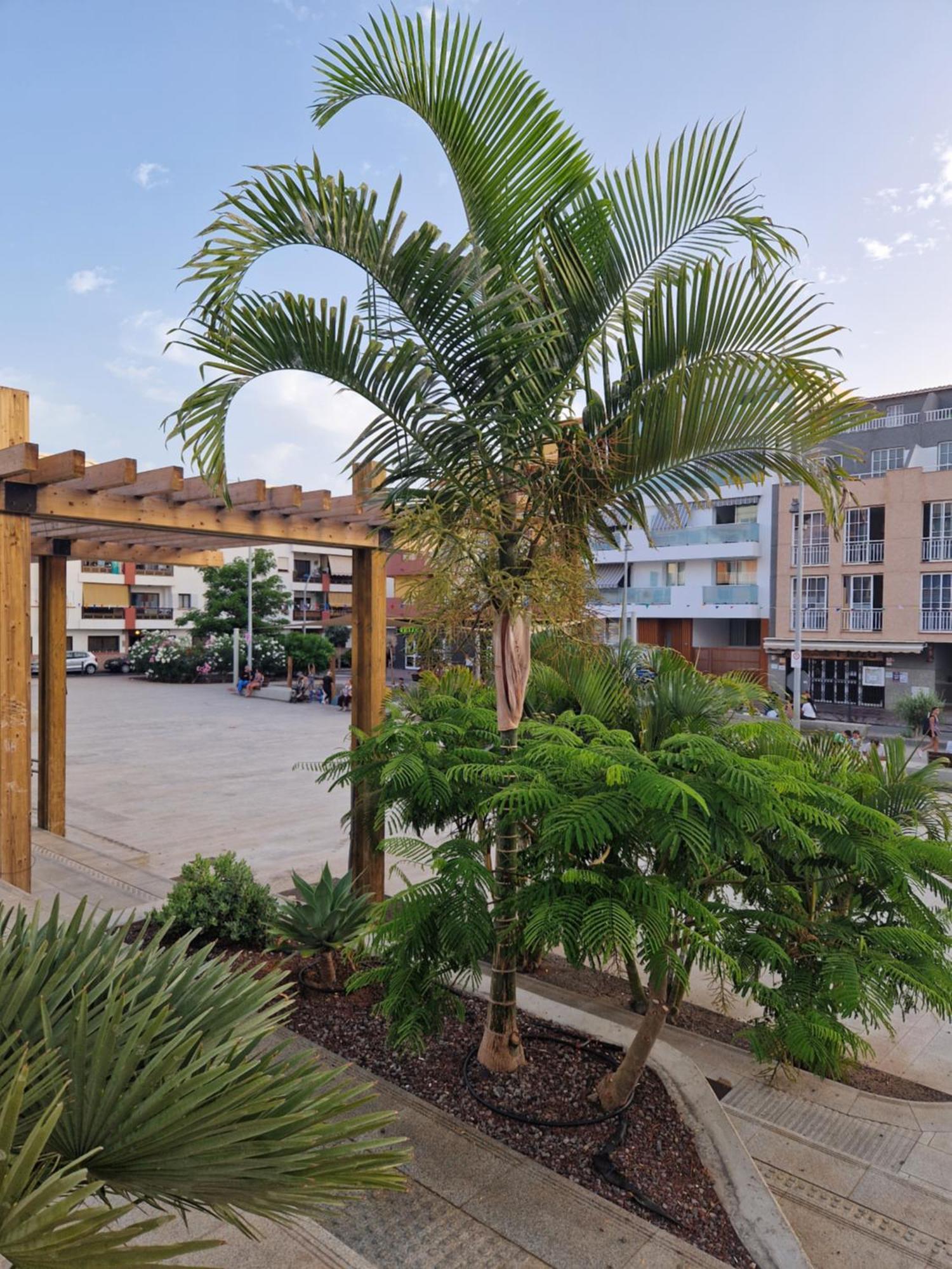 푸에르토 데 산티아고 Studia Puerto De Santiago 아파트 외부 사진